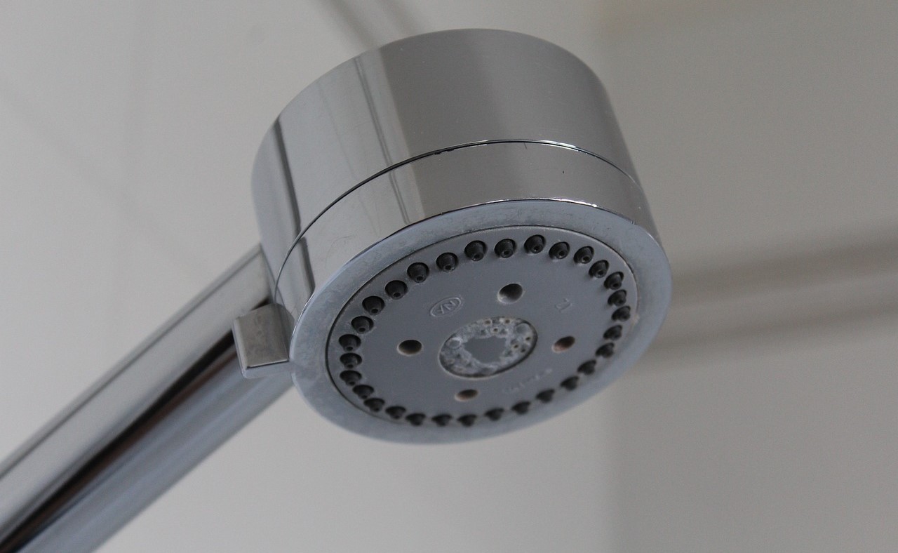 The 10 Best Shower Filters of 2024